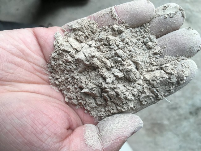 小蝌蚪视频官网正版下载